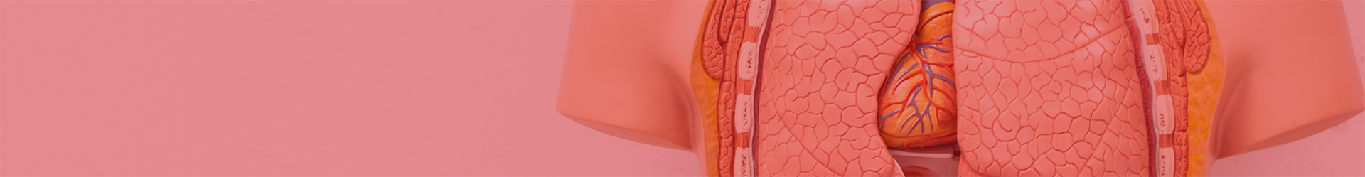 Imagem de background