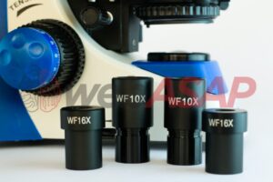 Microscópio Biológico Binocular  (40X - 1600X)