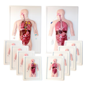 Modelos externos de identificação de tubos