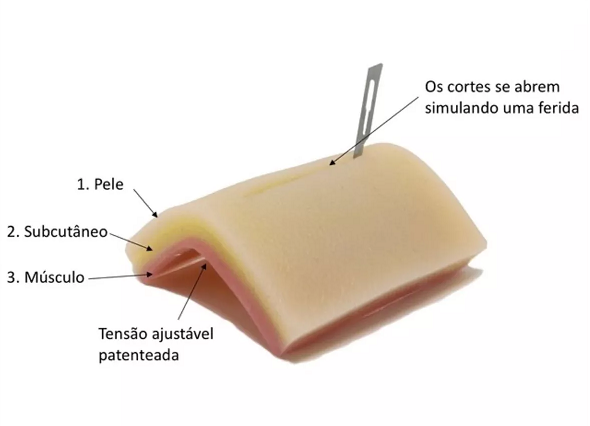 simulador de sutura (LS2)