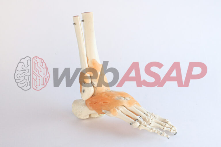 articulação do pé e tornozelo