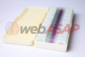 Caixa de Laminas de Fungos C/ 30 peças