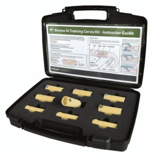 Kit de treinamento do colo do útero de IA bovina