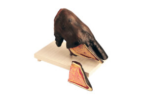 Modelo de Casco de Vaca