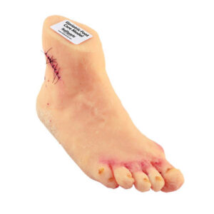 Modelo Geriátrico de Cuidados com os Pés