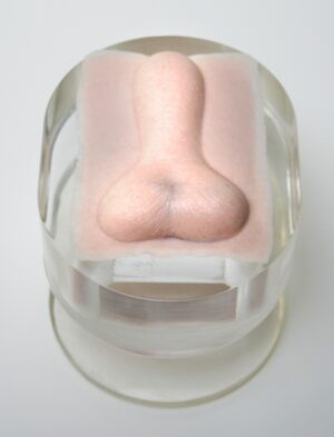 Simulador de Orquiectomia (Neutro)