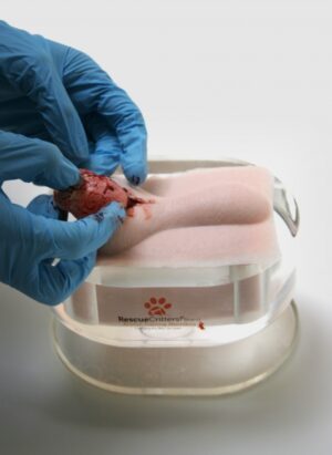 Simulador Pad para Treinamento de Orquiectomia Canina (100unid)