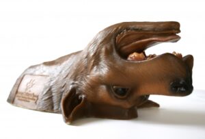 Simulador de Traqueostomia