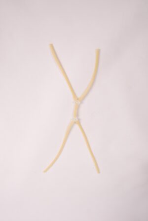 Veias Descartáveis Adicionais – CCF