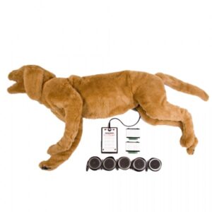 Simulador de som de respiração/coração (BHS)