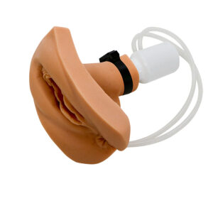 Treinadora de Cateterismo Feminino Compatível com Laerdal