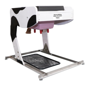 Simulador de Úbere de Ordenha Bovina